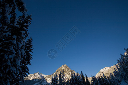 斯诺夸尔米山与树背景