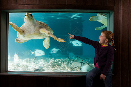 捧鱼缸女孩在水族馆里指着海龟的女孩背景