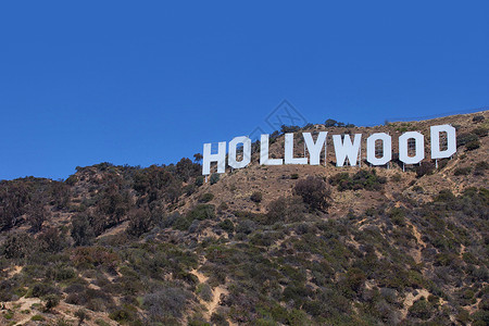 好莱坞标志背景