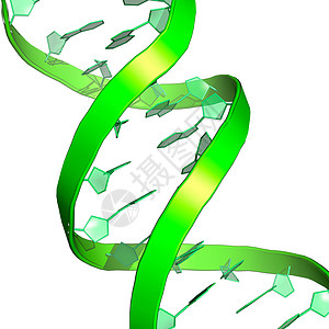 白色dnaDNA分子背景