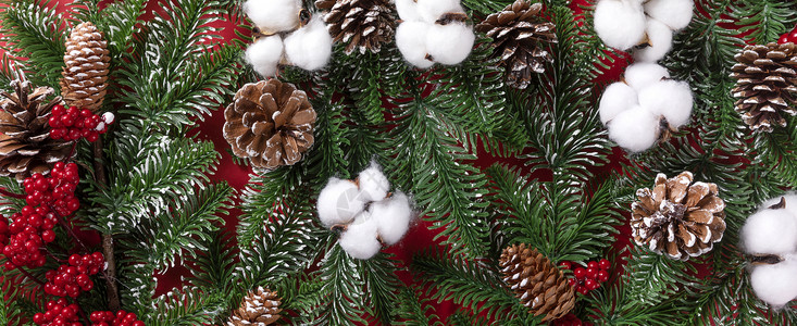 棉花叶圣诞树背景