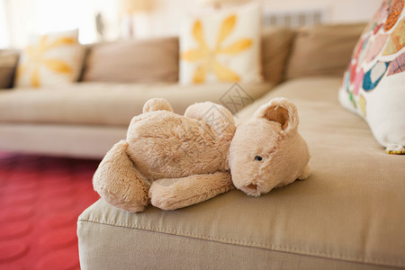 泰迪熊躺在沙发上图片