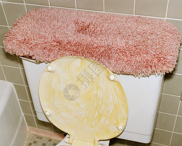 小粉红色花水箱上有粉红色地毯的卫生间背景