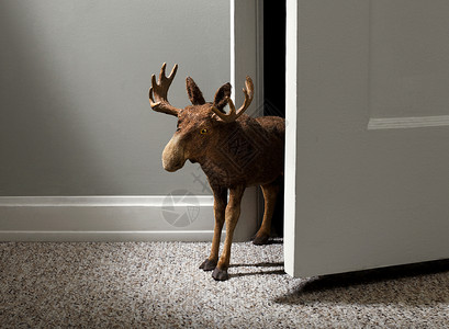 门角打开门的玩具驼鹿背景