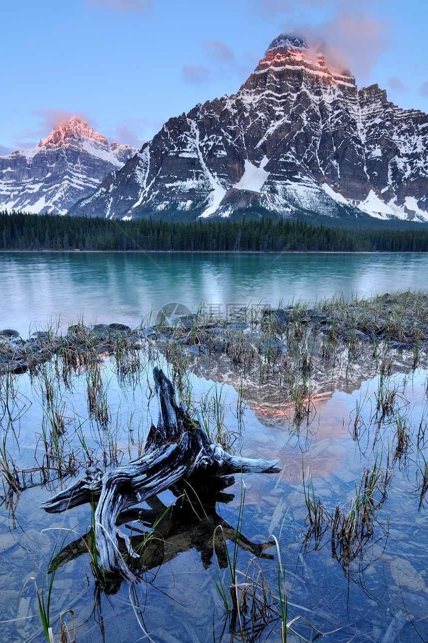 加拿大亚伯达班夫国家公园下水禽湖和切弗伦山图片