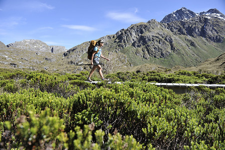 新西兰木板路上的女子徒步旅行图片