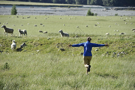 带着羊在田里奔跑的女人图片