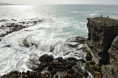 新西兰悬崖和大海图片