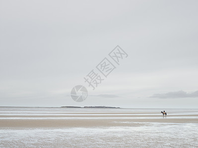 英国威拉空沙滩上赛马人的远视图图片