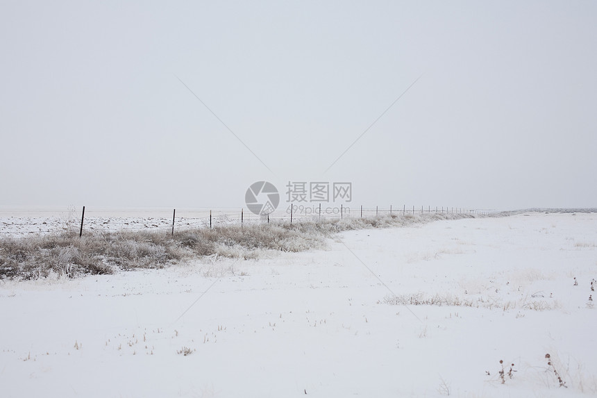 雪地里的田野和栅栏图片