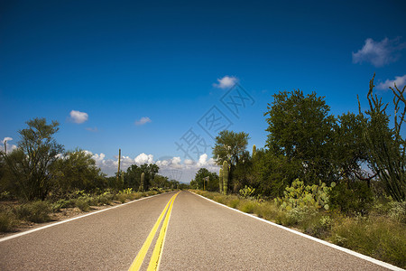 美国亚利桑那州图森市道路高清图片