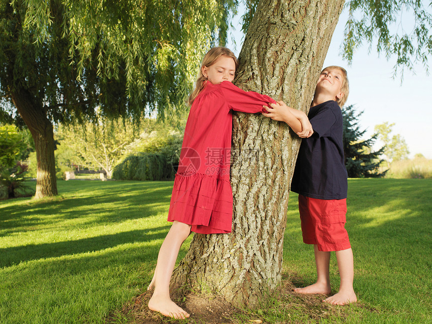 抱着树的男孩和女孩图片