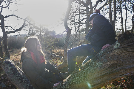两个人坐在森林里的树上图片