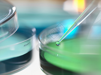 化学绿色实验室的培养皿背景