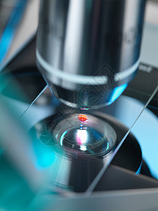 光学显微镜检查血液样本图片
