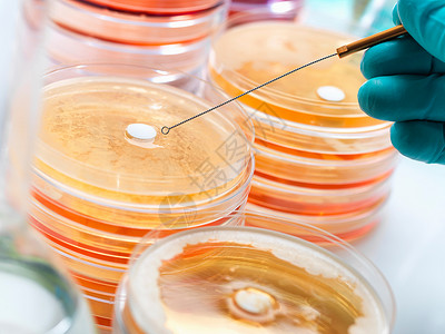 葡萄球菌测试抗生素药物背景
