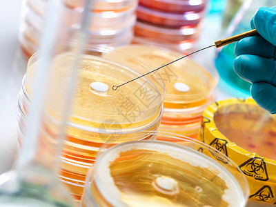 金黄色葡萄球菌测试抗生素药物背景