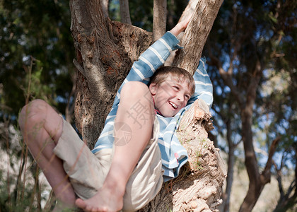 男孩（8-10）爬树，大笑图片