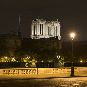 法国巴黎，晚上可以看到奥桥和圣母院大教堂图片
