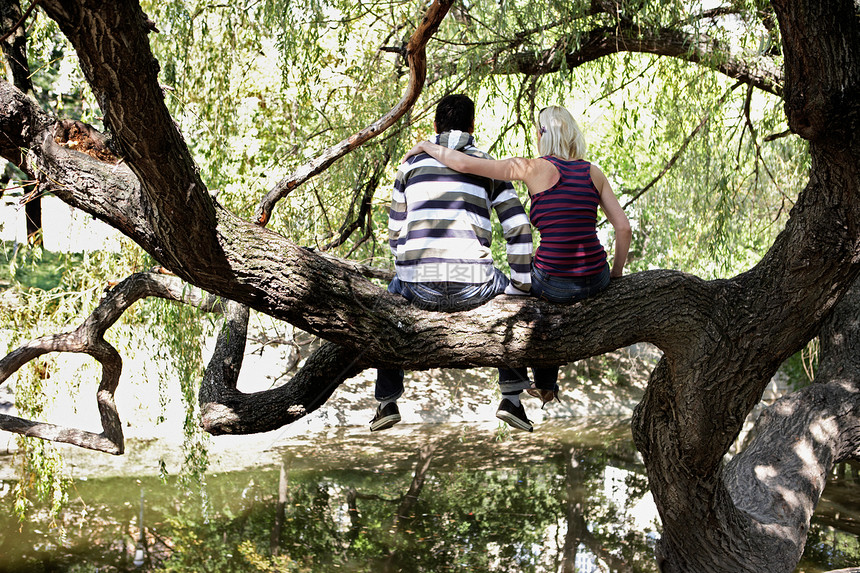坐在树上的一对夫妇图片