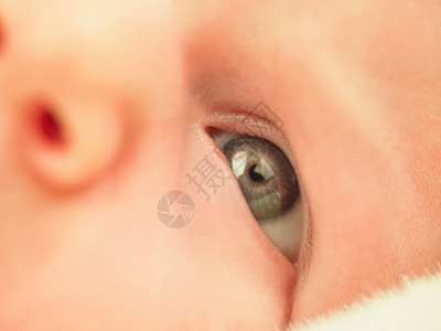 婴儿眼睛特写镜头图片