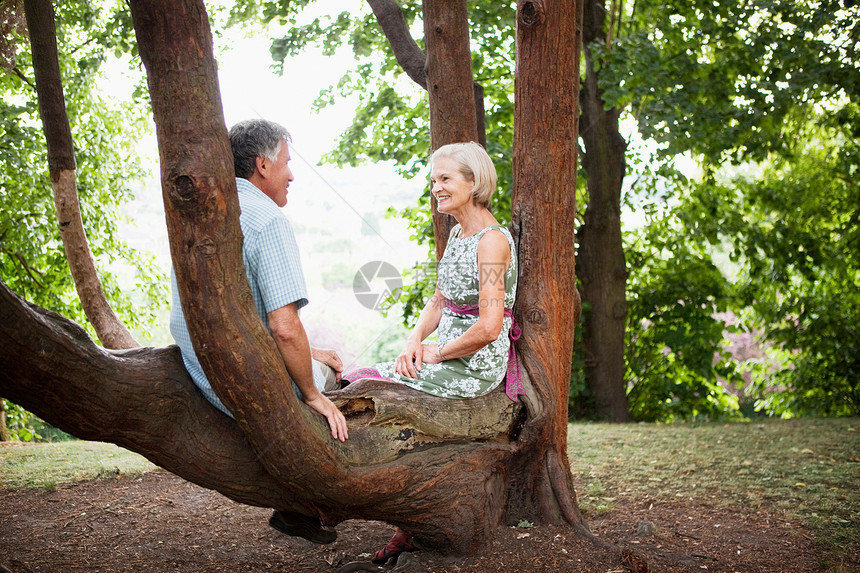 坐在树上放松的老年夫妇图片
