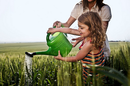 女孩给麦子浇水给麦田浇水的妇女和儿童背景