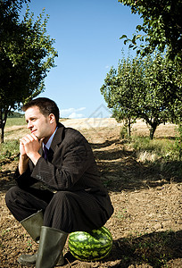 一个男人坐在果园里的西瓜上图片