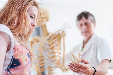 女性在解剖模型上显示青少年掌骨图片