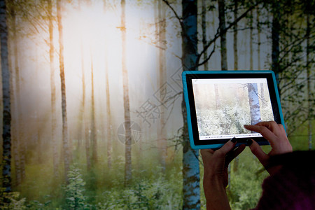 使用数字平板电脑拍摄林地场景的人图片