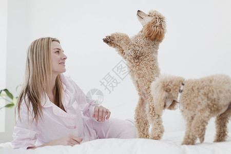 在床上和狗玩耍的女人背景图片