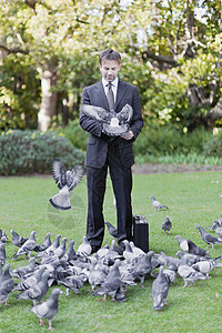 在公园里喂鸽子的商人图片