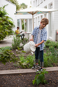 男孩浇灌植物图片
