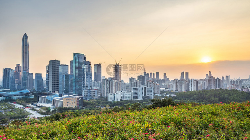 深圳福田城市风光图片