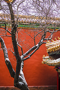 古代下雪素材北京故宫雪景背景