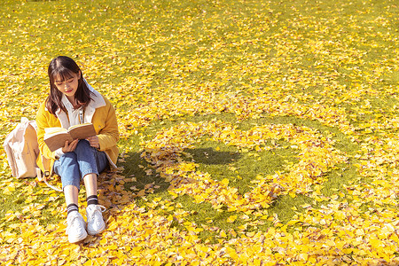 金色爱心花纹边框坐在铺满银杏叶的草坪上看书的女孩背景