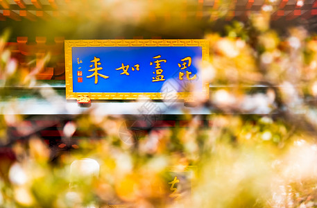 漂浮金色树叶南京毗卢寺牌匾与秋叶背景