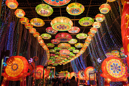 深圳欢乐灯会背景图片