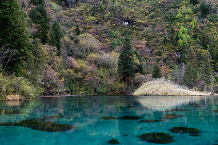 清澈见底的湖水四川省阿坝藏族羌族自治州背景