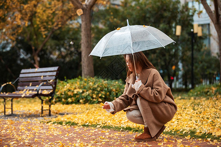 秋季雨天美女撑伞拾银杏叶图片