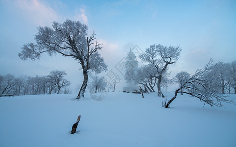 吉林龙湾群国家森林公园冰天雪地雾凇风光背景图片