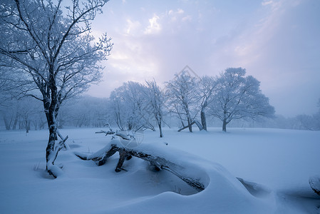 吉林龙湾群国家森林公园冰天雪地雾凇风光背景图片