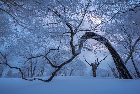 吉林龙湾群自然保护区冰天雪地雾凇风光背景图片