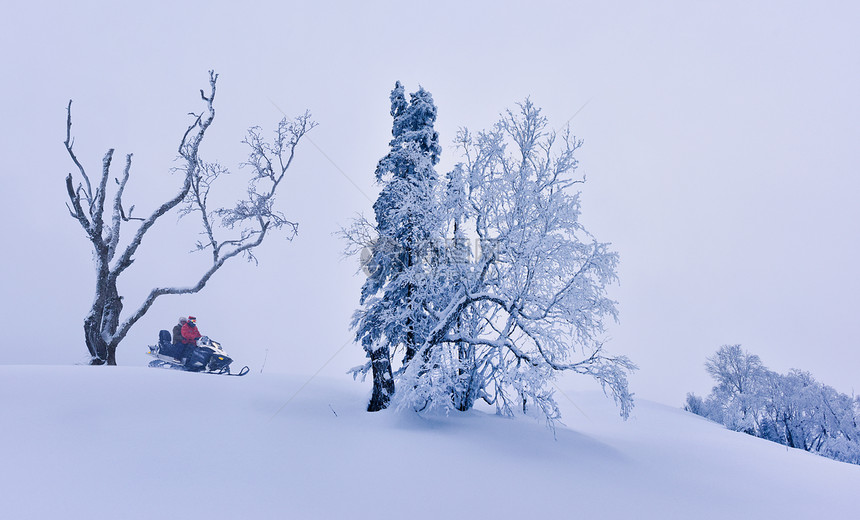 吉林长白山雪岭国家森林公园东北冰雪世界骑雪摩托图片
