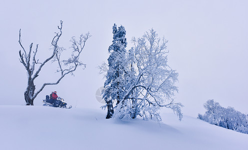 吉林长白山雪岭国家森林公园东北冰雪世界骑雪摩托背景