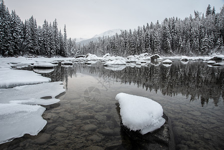 新疆喀纳斯冬季雪景河流松林高清图片