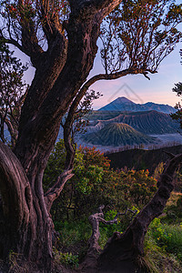 8月素材印尼布罗莫火山背景