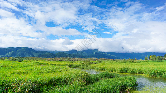 云南地区泸沽湖的草海高清图片