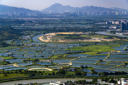 稻田公园深圳罗湖区鱼塘背景