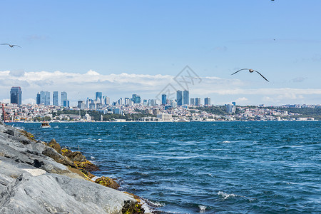 欧亚寒鸦伊斯坦布尔海景背景